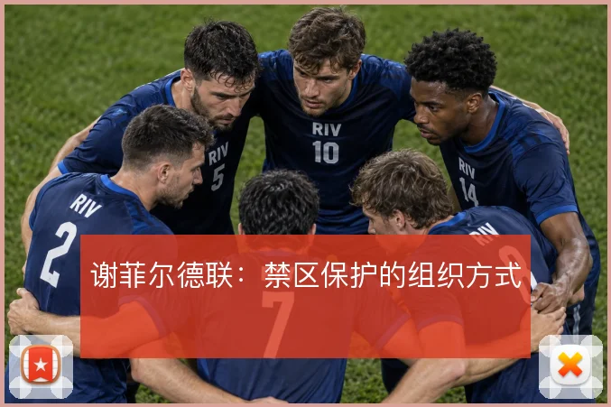 谢菲尔德联：禁区保护的组织方式